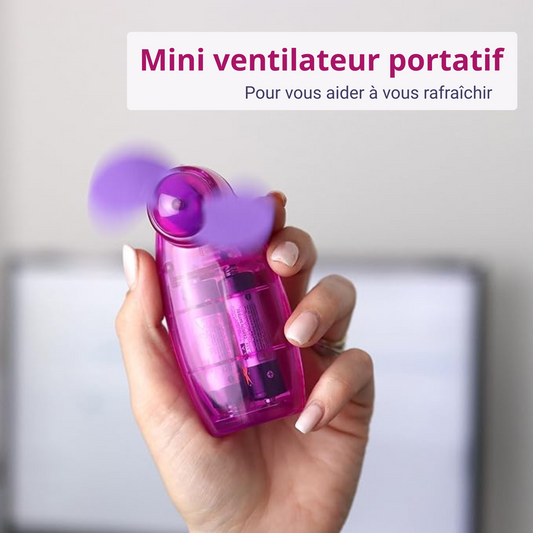 Mini ventilateur pales mousse